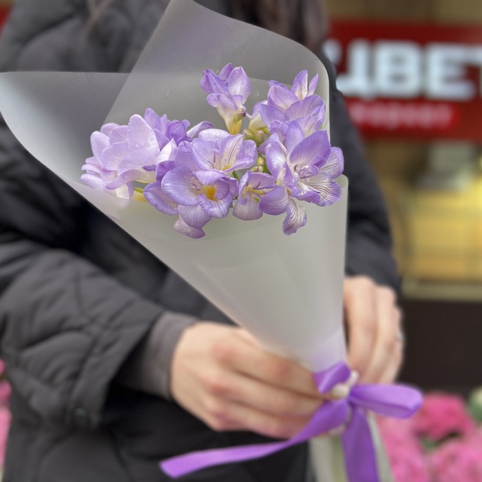 5 фиолетовых фрезий